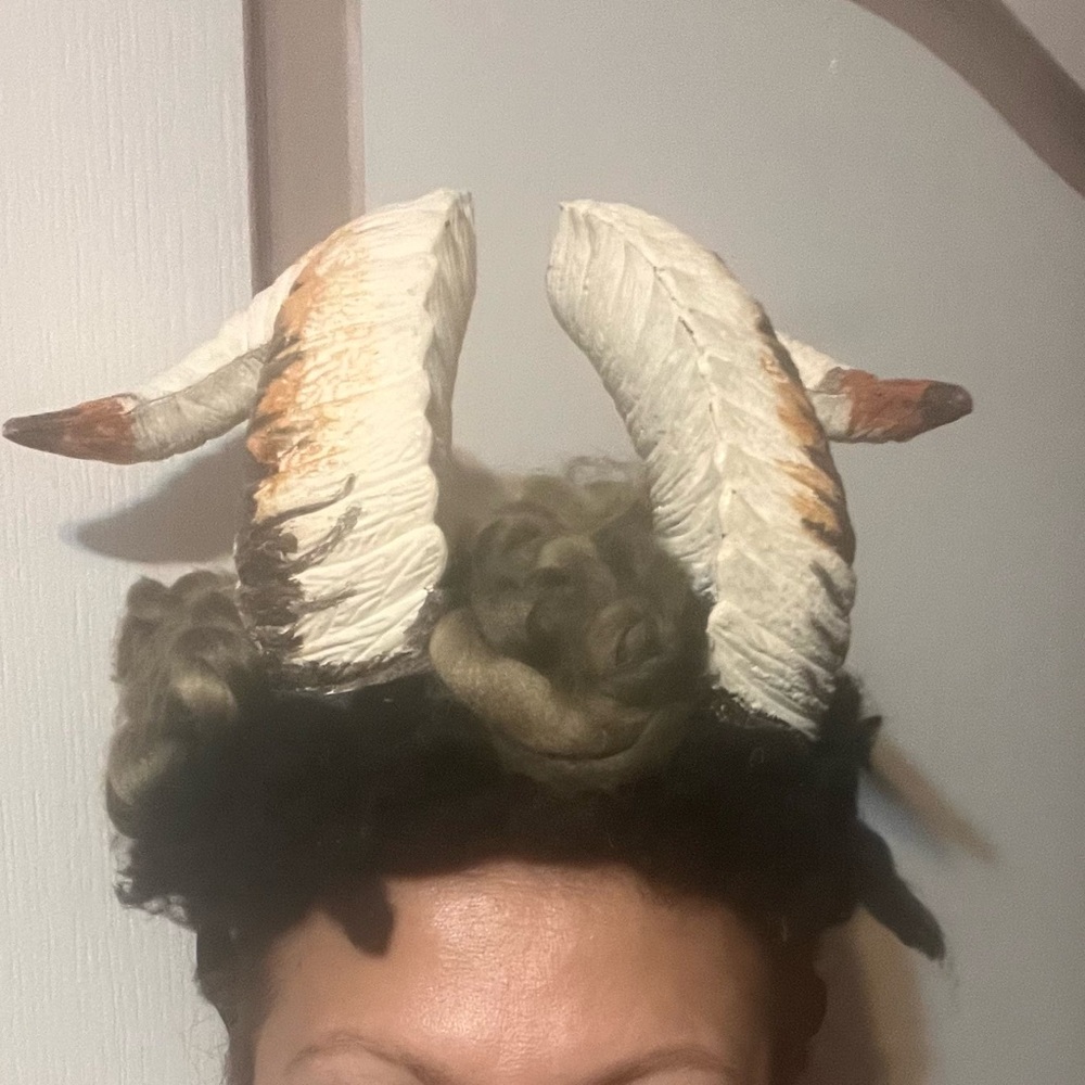 Unique Feathered Horn Headpiece